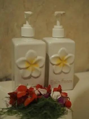 Basic Oda, 1 Büyük (Queen) Boy Yatak, Sigara İçilebilir, Bahçe Manzaralı