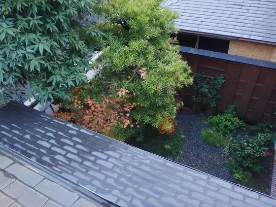 Traditional Oda, Sigara İçilmez (Japanese Style, Standard)