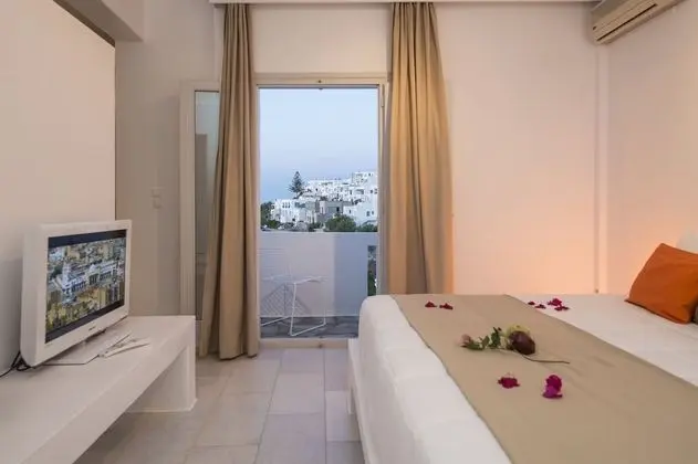 Panoramic Süit (Penthouse)