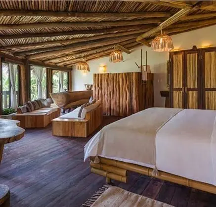 RT Suite Tree House GV