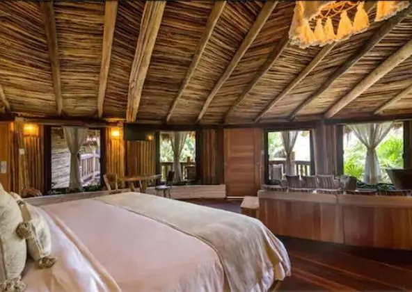 RT Suite Tree House GV