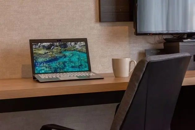Business Tek Büyük Yataklı Oda, Sigara İçilmez