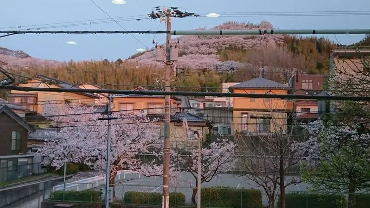 Basic Oda, Dağ Manzaralı