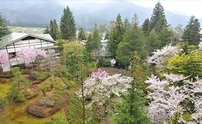 Traditional Oda