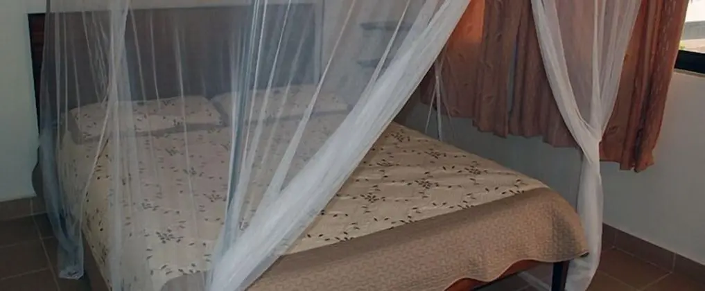 Standard Tek Kişilik Oda, Bahçe Manzaralı