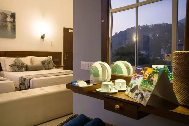 Deluxe Family Room