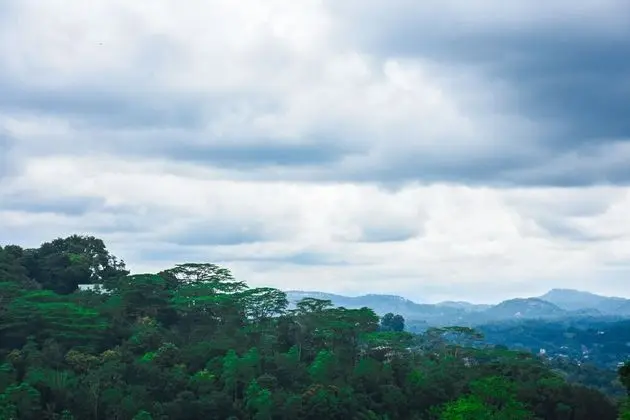 Deluxe Oda, 1 En Büyük (King) Boy Yatak, Sigara İçilmez