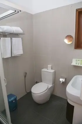 Deluxe Tek Büyük Yataklı Oda, 1 En Büyük (King) Boy Yatak, Sigara İçilmez, Avlu Manzaralı