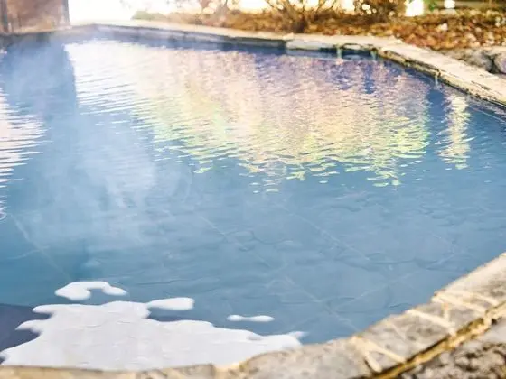 Deluxe Oda, Sigara İçilmez (Annex,Open-Air Bath,Japanese Cuisine)
