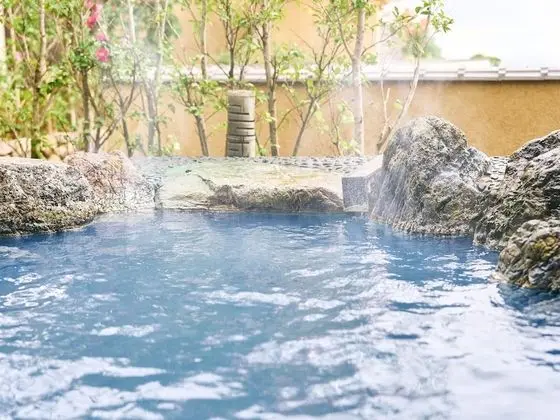 Deluxe Oda, Sigara İçilmez (Annex,Open-Air Bath,Japanese Cuisine)