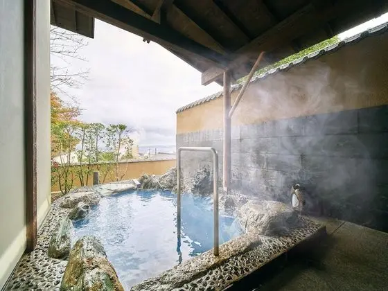 Deluxe Oda, Sigara İçilmez (Annex,Open-Air Bath,Japanese Cuisine)