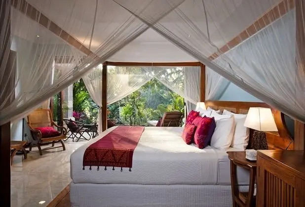 Standard Süit (Jungle View)