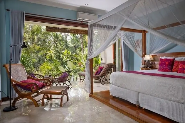 Standard Süit (Jungle View)