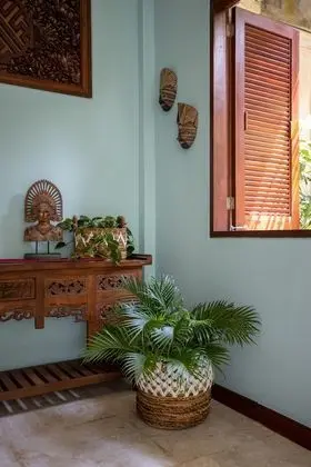 Standard Süit (Jungle View)