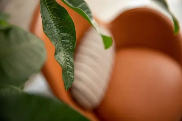 Çatı Katı Süiti (Penthouse), 2 Yatak Odası, Sıcak Su Havuzu