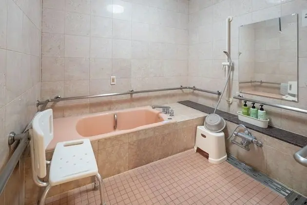 Oda, Sigara İçilmez (Barrier-free,With Bath)