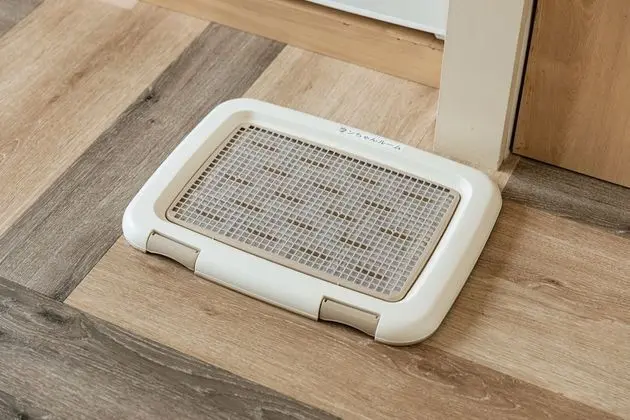 İki Ayrı Yataklı Oda, Sigara İçilmez (Pet Allowed, With Sofa Bed)