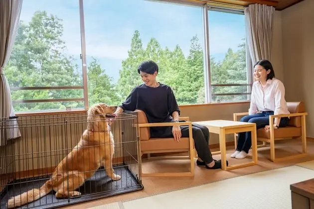 Traditional Oda, Sigara İçilmez (Japanese-style B, Dog Friendly)