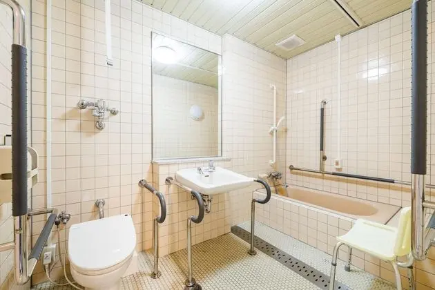 Oda, Engellilere Uygun, Sigara İçilmez (Barrier free, With bath)