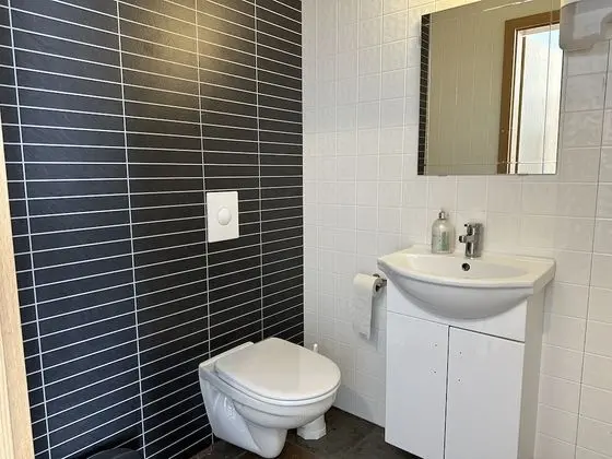 Standard Tek Büyük veya İki Ayrı Yataklı Oda, Ortak Banyo