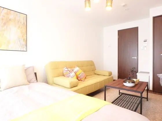 Superior Tek Büyük Yataklı Oda