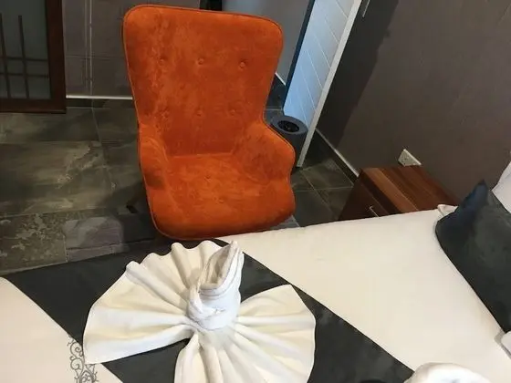 Executive Tek Büyük Yataklı Oda