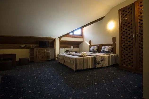 Economy Tek Büyük veya İki Ayrı Yataklı Oda (Free Spa Access)