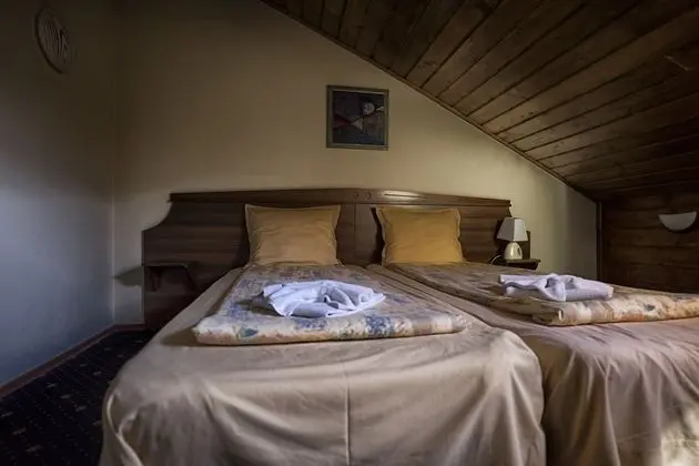 Economy Tek Büyük veya İki Ayrı Yataklı Oda (Free Spa Access)