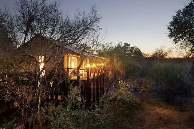 Luxury Çadır (Buffalo Camp)