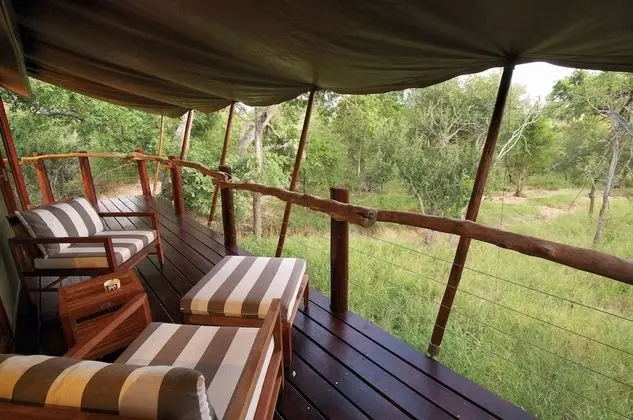 Luxury Çadır (Buffalo Camp)