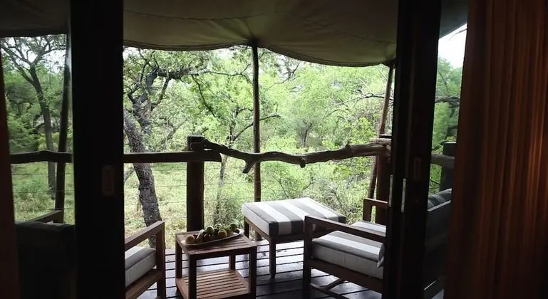 Luxury Çadır (Buffalo Camp)