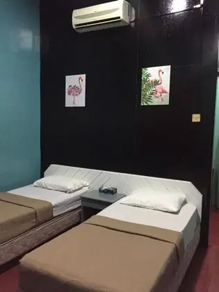 Standard Dağ Evi