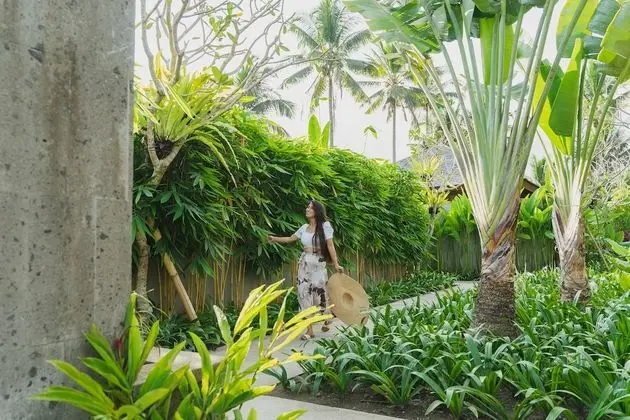 1 Bedroom Pool Villa with Rice Field View
