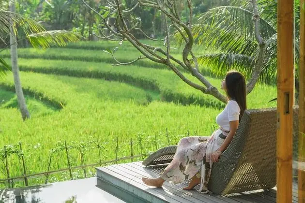 1 Bedroom Pool Villa with Rice Field View