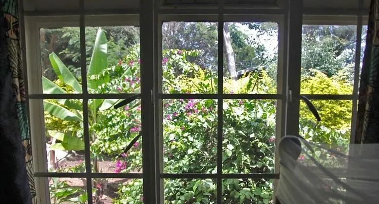 Basic Tek Büyük Yataklı Oda, Birden Çok Yatak