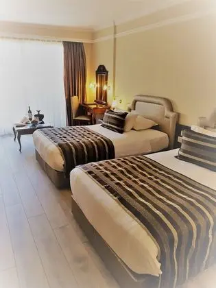 Deluxe Tek Kişilik Oda