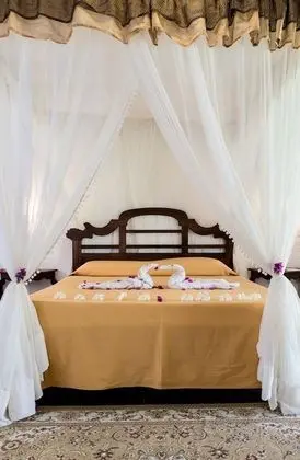 Luxury Bungalov