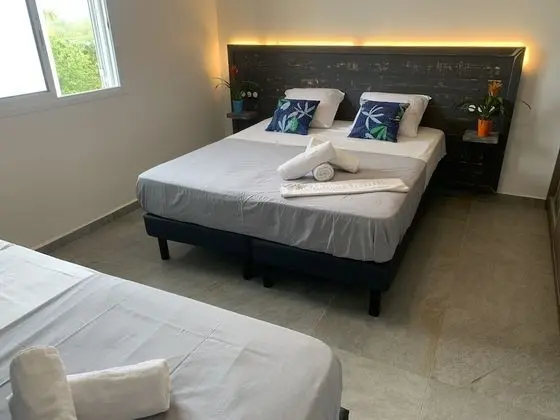 Deluxe Apart Daire, 2 Yatak Odası, Teras