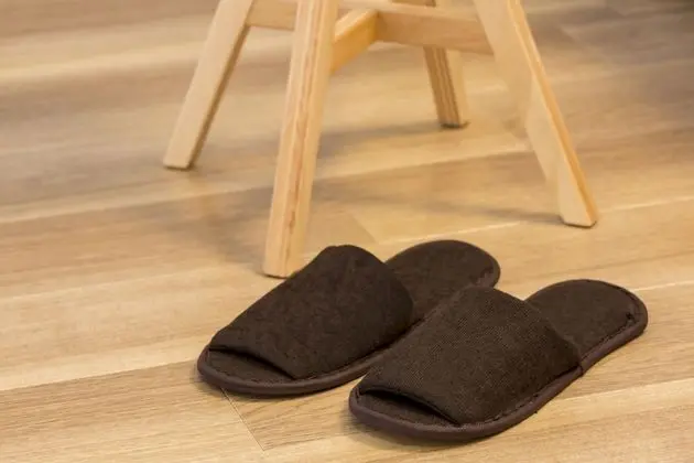 İki Ayrı Yataklı Oda, Sigara İçilmez (Extra Bed)
