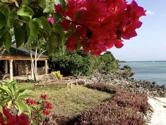 Family Villa, Birden Çok Yatak, Sigara İçilebilir, Okyanus Manzaralı