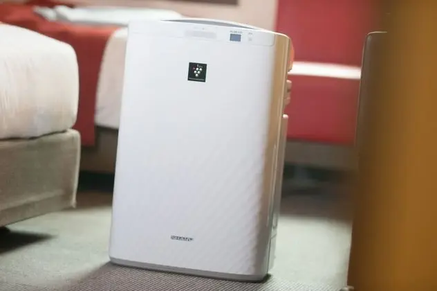 Tek Kişilik Oda, Sigara İçilebilir