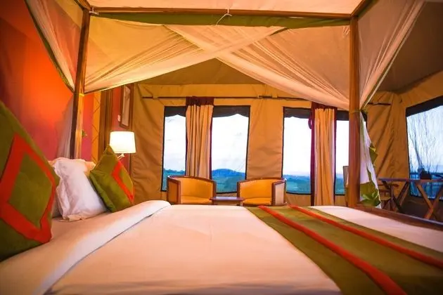 Comfort Çadır