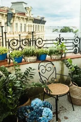 Standard Apart Daire, 2 Yatak Odası