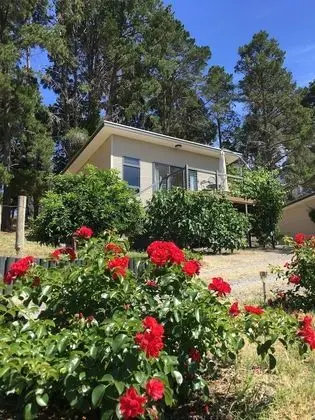 Luxury Kır Evi, 1 Yatak Odası, Balkon, Üzüm Asması Manzaralı (Unwind Cottage)