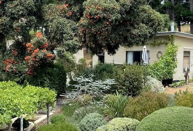 Luxury Kır Evi, 2 Yatak Odası, Teras, Üzüm Asması Manzaralı (Relish Cottage)
