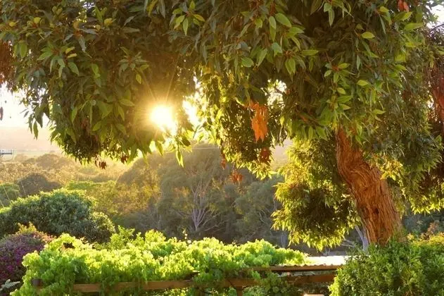 Luxury Kır Evi, 2 Yatak Odası, Teras, Üzüm Asması Manzaralı (Relish Cottage)