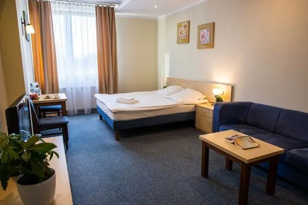 Büyük Yataklı Tek Kişilik Oda, 1 En Büyük (King) Boy Yatak