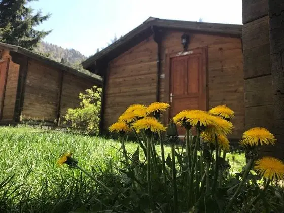 Çift Kişilik, Şelale Manzaralı