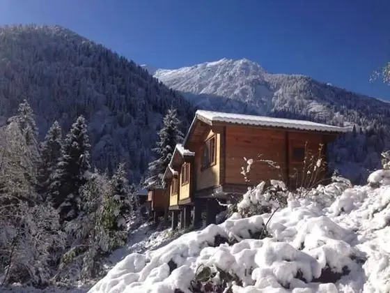 Çift Kişilik, Şelale Manzaralı