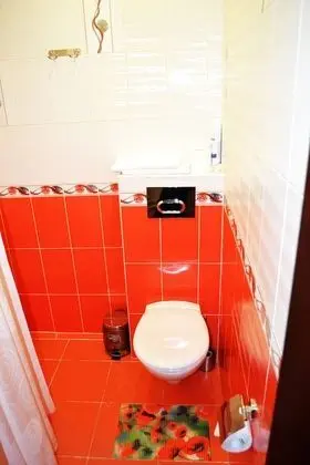 Superior Tek Büyük Yataklı Oda, Bahçe Manzaralı